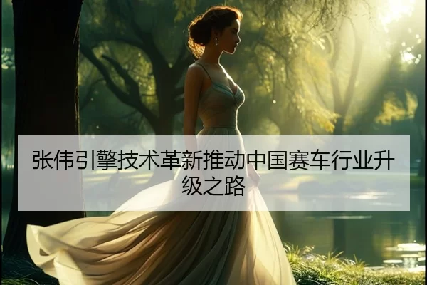 张伟引擎技术革新推动中国赛车行业升级之路